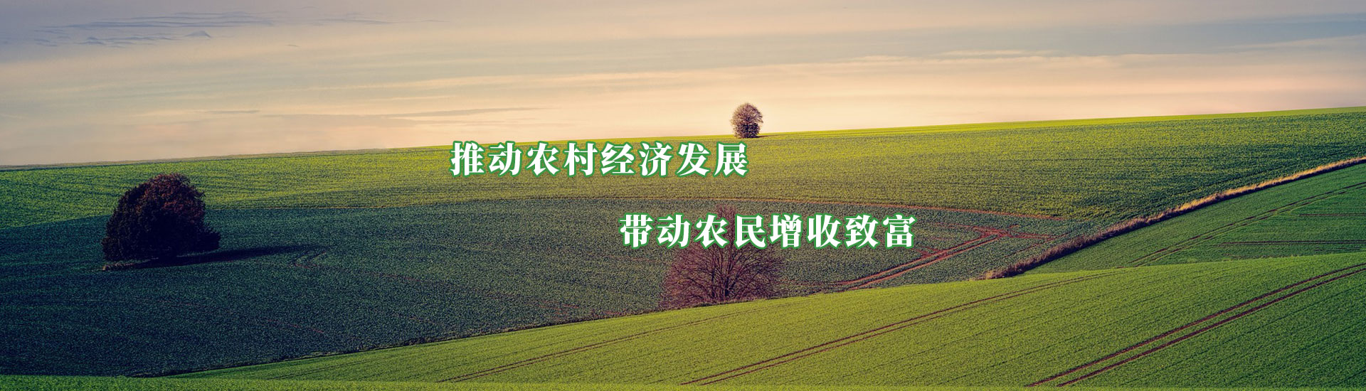 必发888(唯一)官方网站