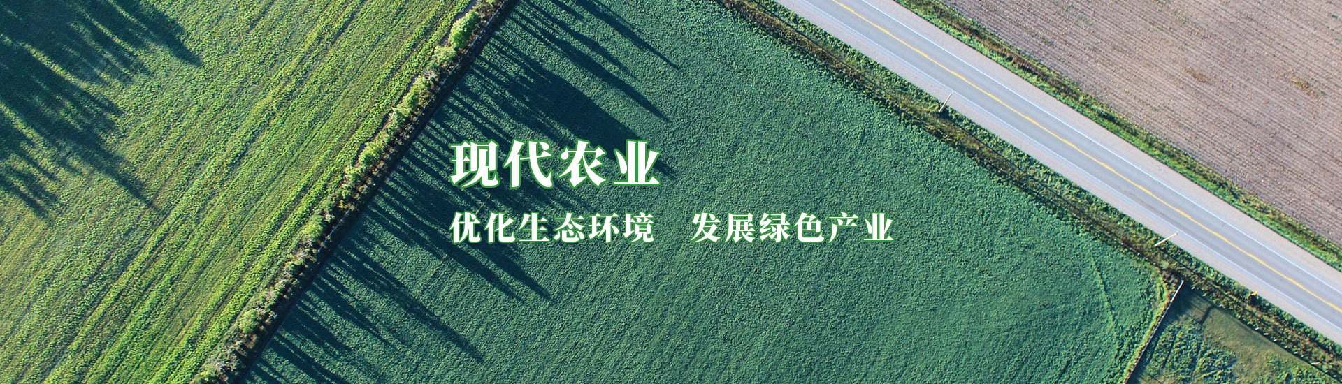 必发888(唯一)官方网站
