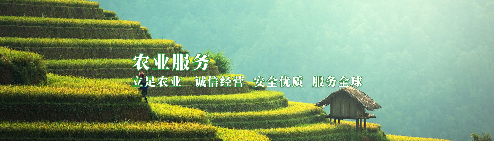 必发888(唯一)官方网站