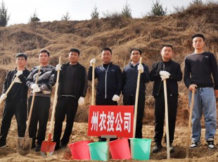必发888加入2021年春季义务植树运动