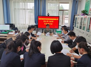 必发888召开党史学习教育交流钻研会