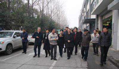 十年1066vip威尼斯伴我行 又添春雨沐东风 ——记天津津南区党政代表团莅临岳阳1066vip威尼斯调查领导